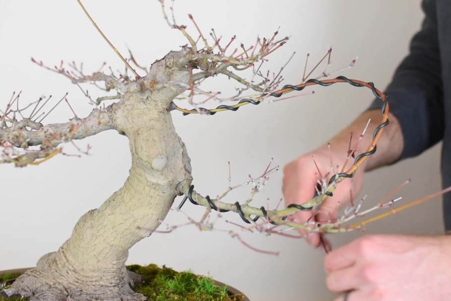 Approach graft secured with screws and tape